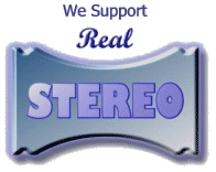 We Support Stereo - Logo